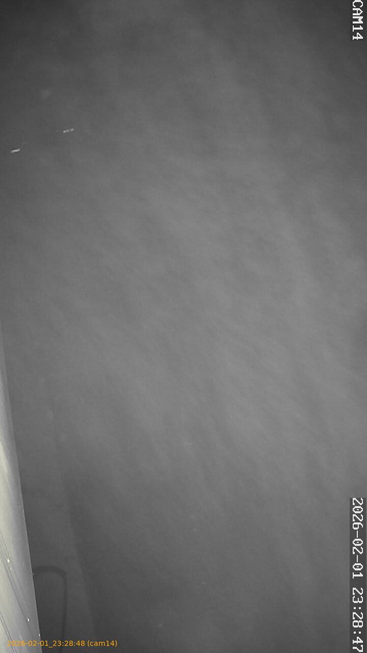 thumbnail_20260201232848