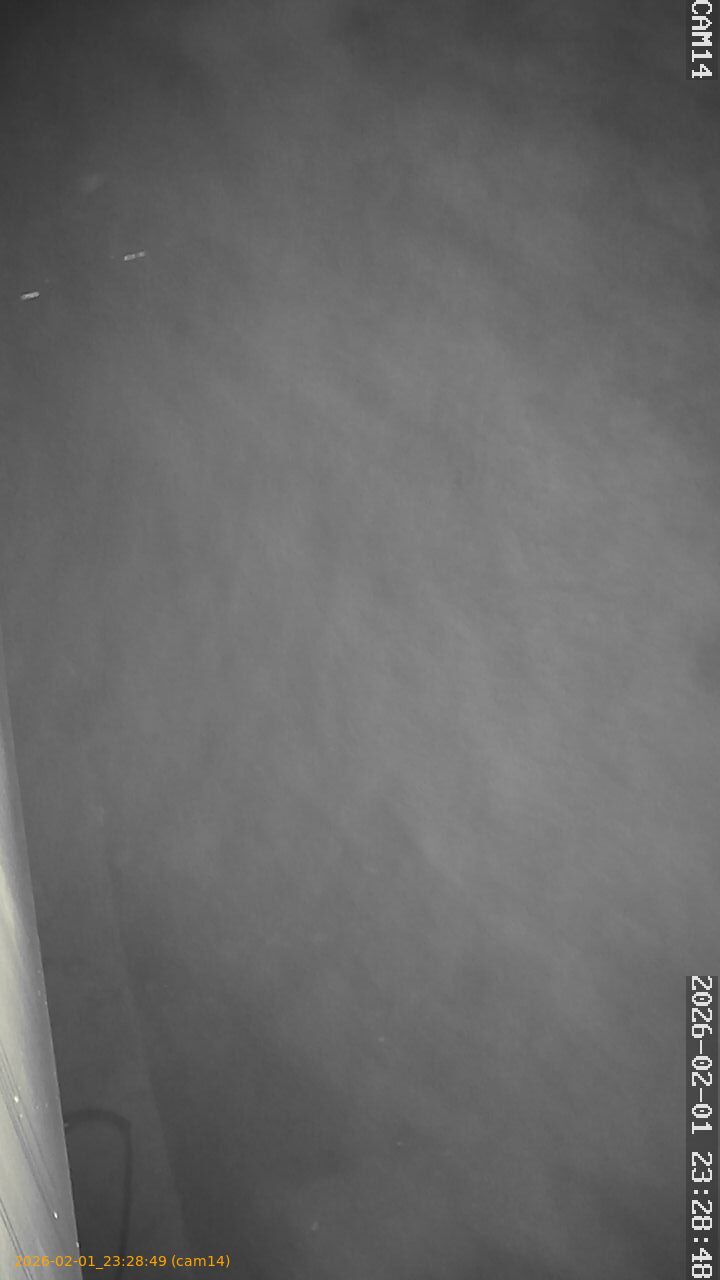 thumbnail_20260201232849