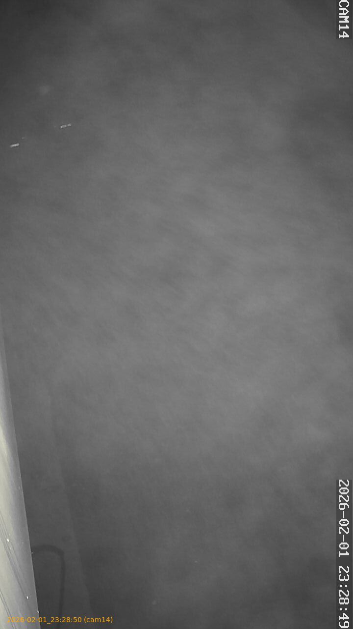 thumbnail_20260201232850