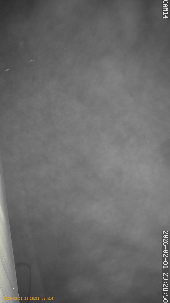 thumbnail_20260201232851