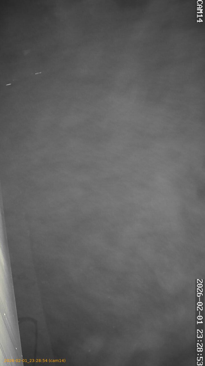 thumbnail_20260201232854