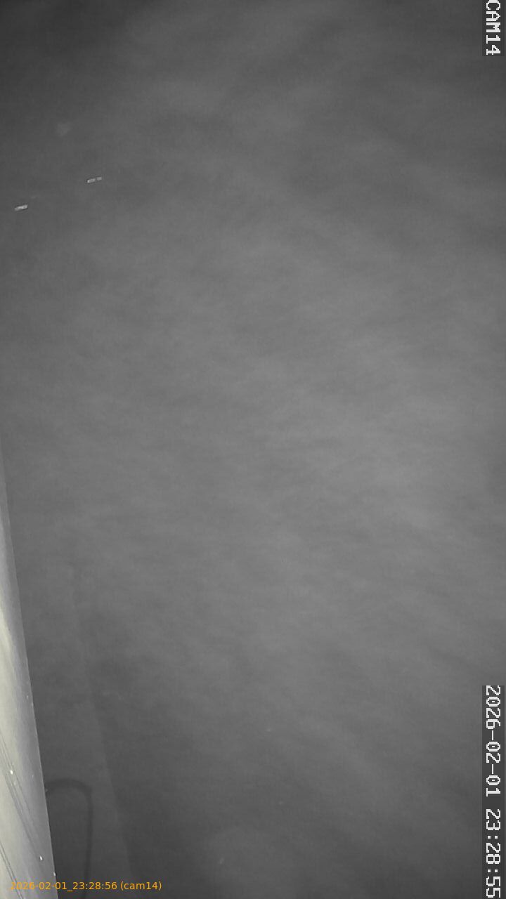 thumbnail_20260201232856