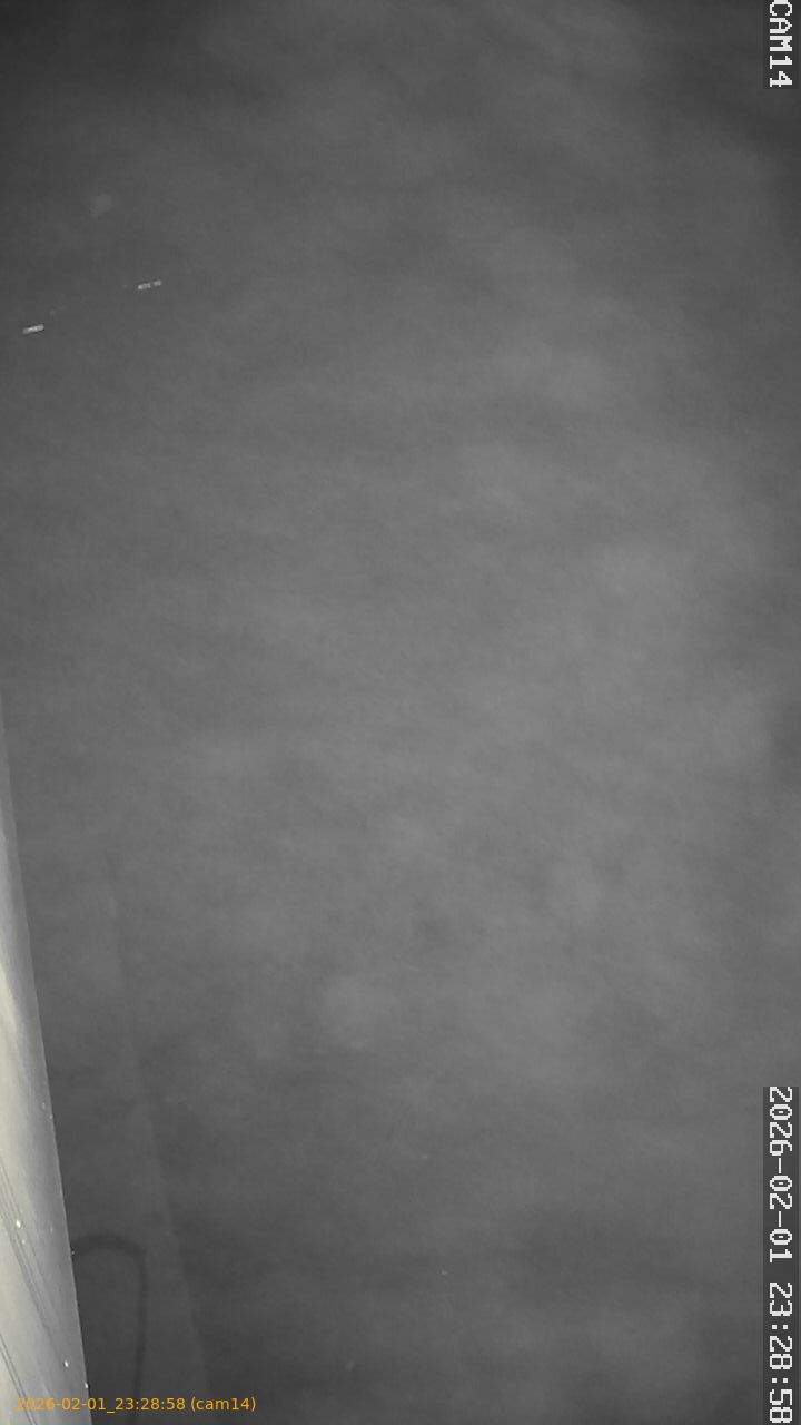 thumbnail_20260201232858