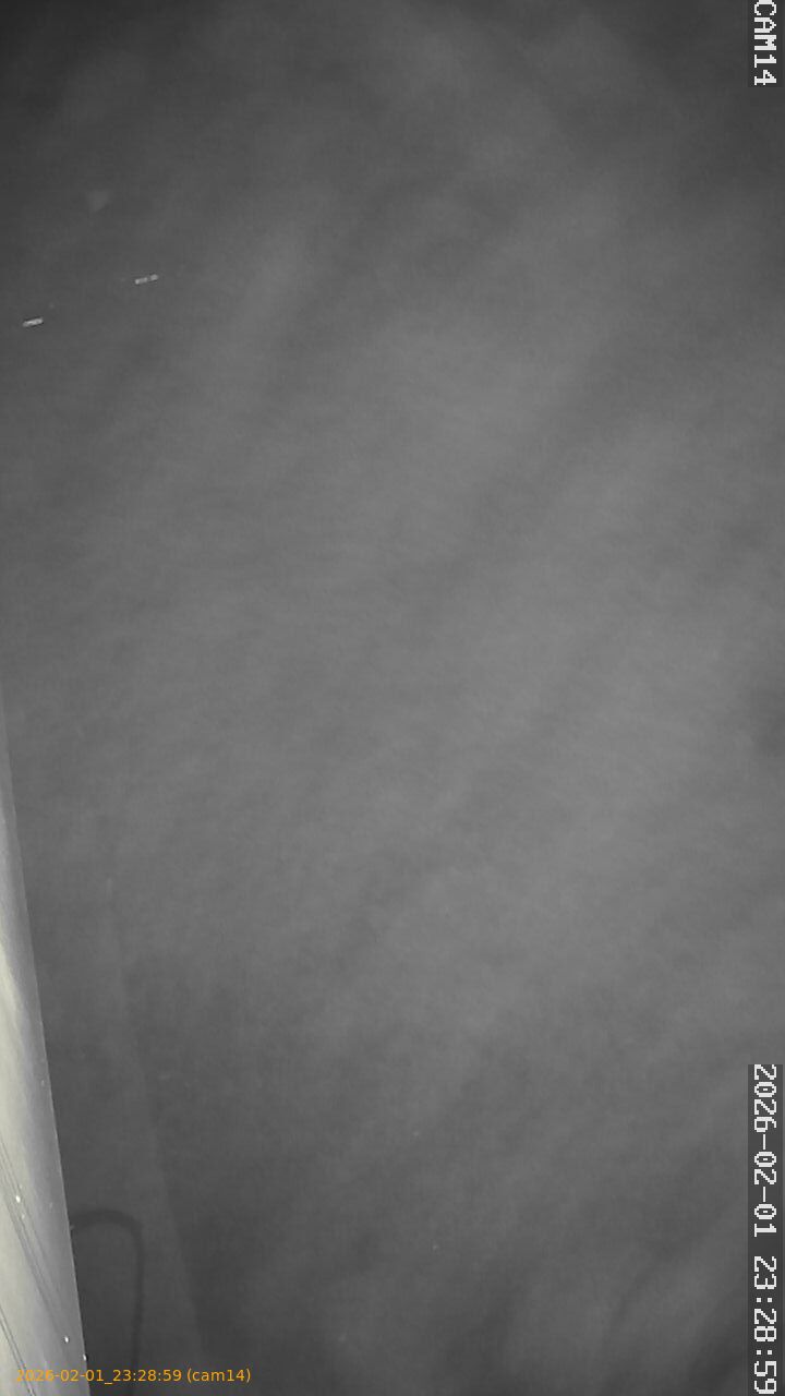 thumbnail_20260201232859