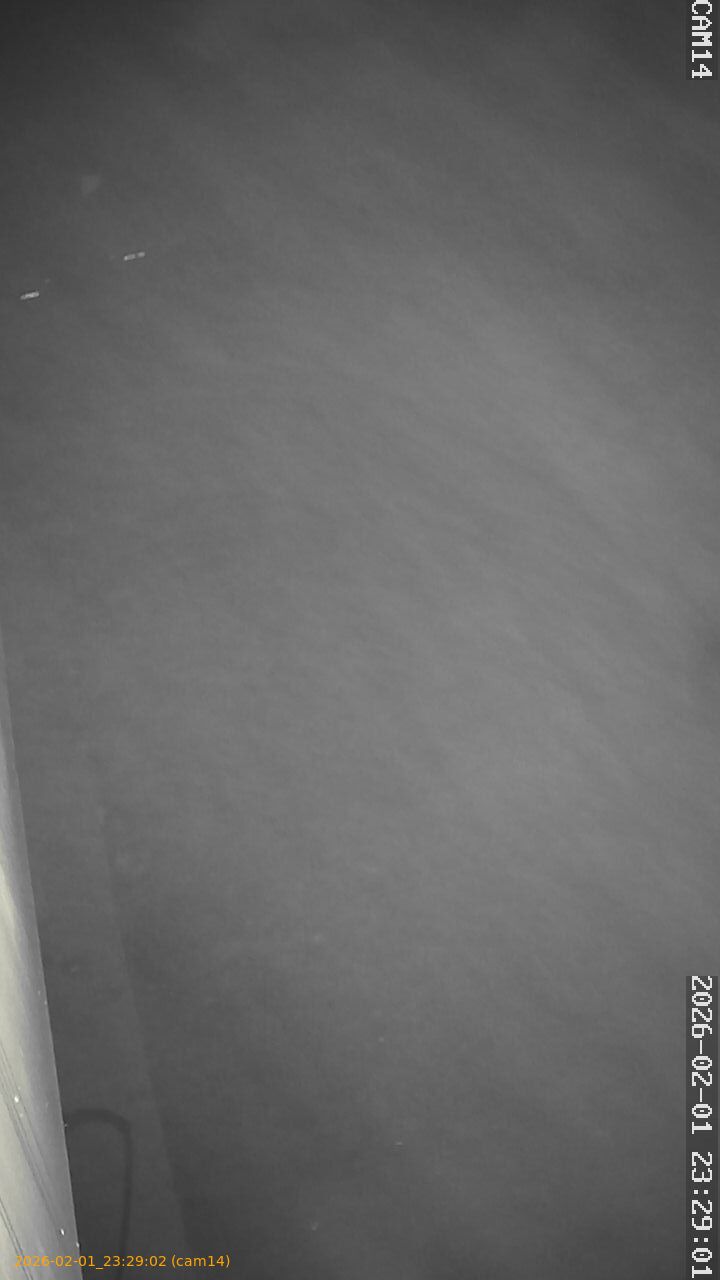 thumbnail_20260201232902