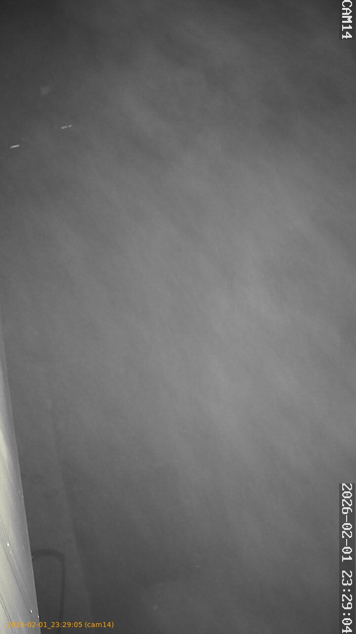 thumbnail_20260201232905