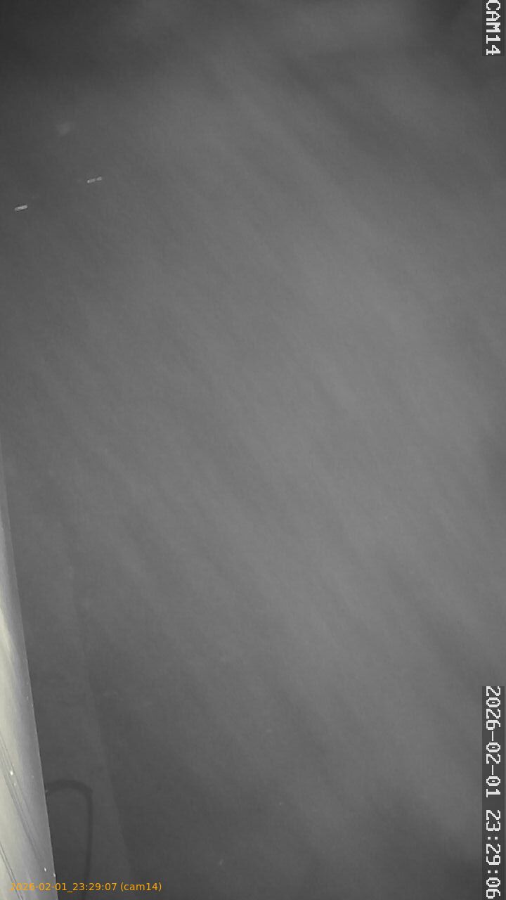 thumbnail_20260201232907