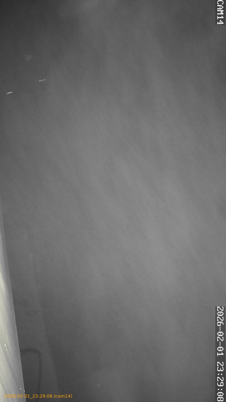 thumbnail_20260201232908