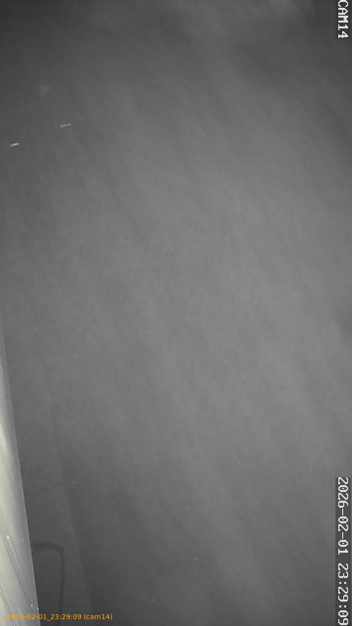 thumbnail_20260201232909