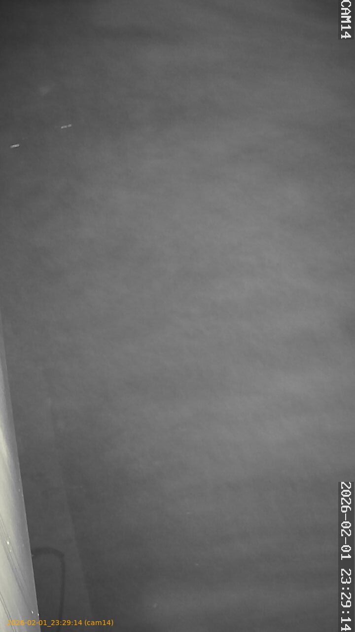 thumbnail_20260201232914