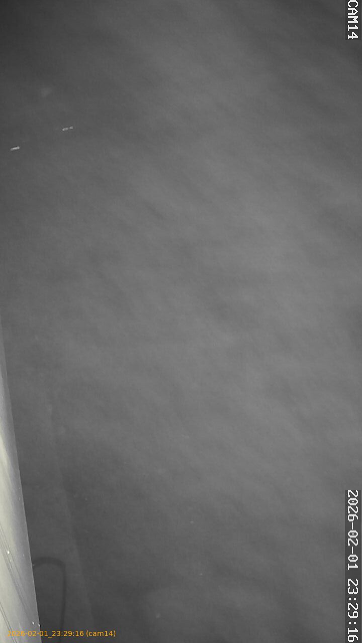 thumbnail_20260201232916