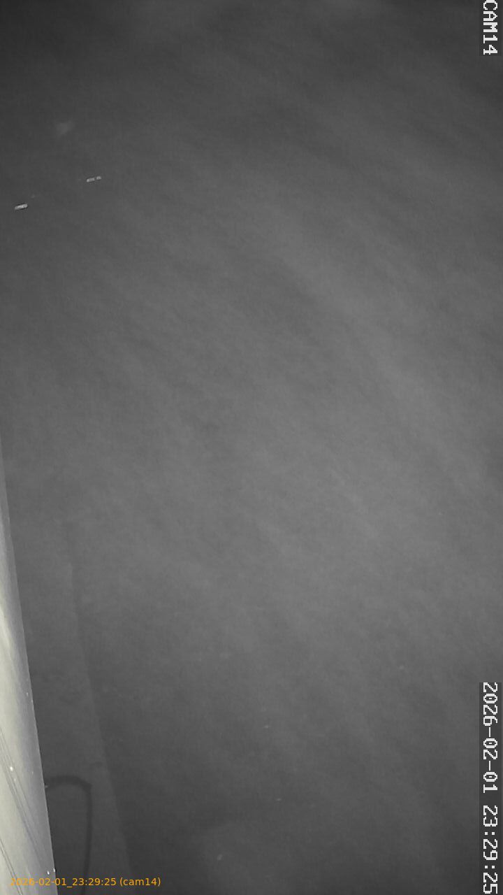 thumbnail_20260201232925