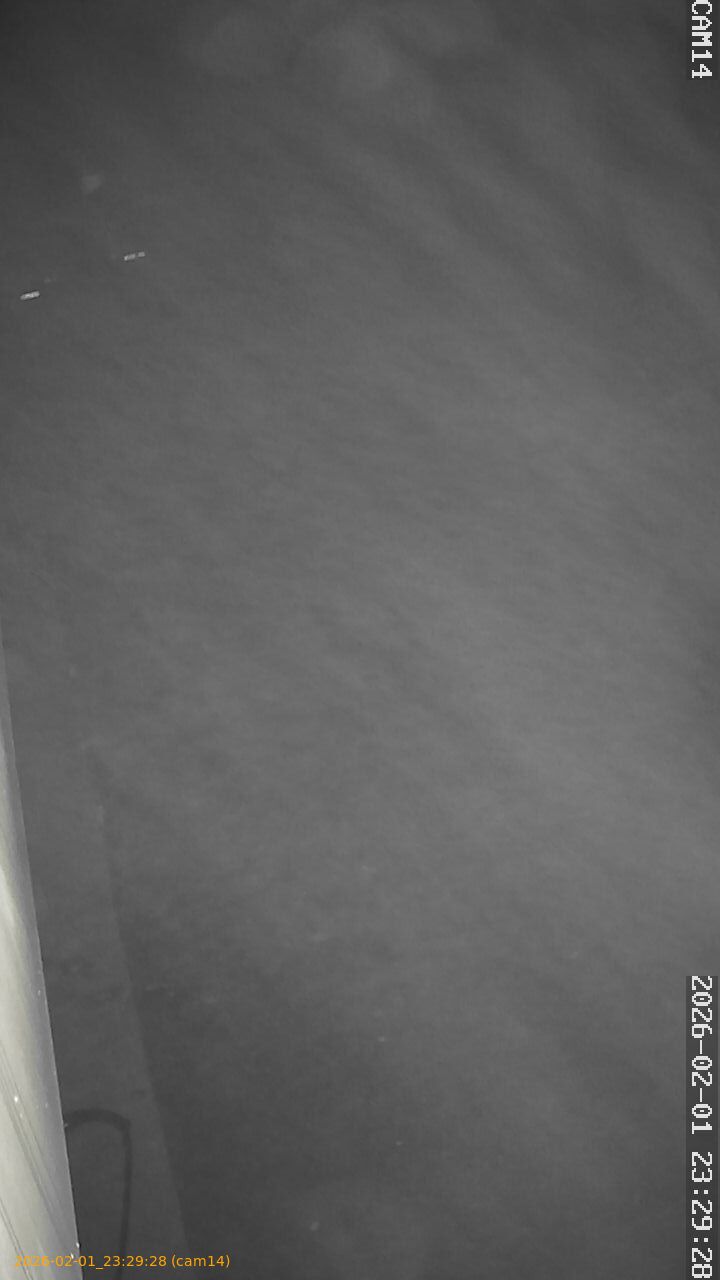 thumbnail_20260201232928