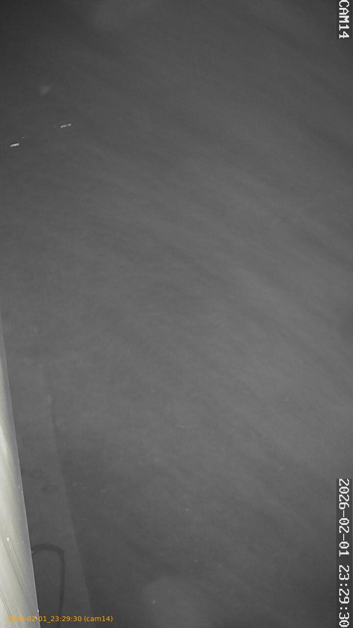 thumbnail_20260201232930