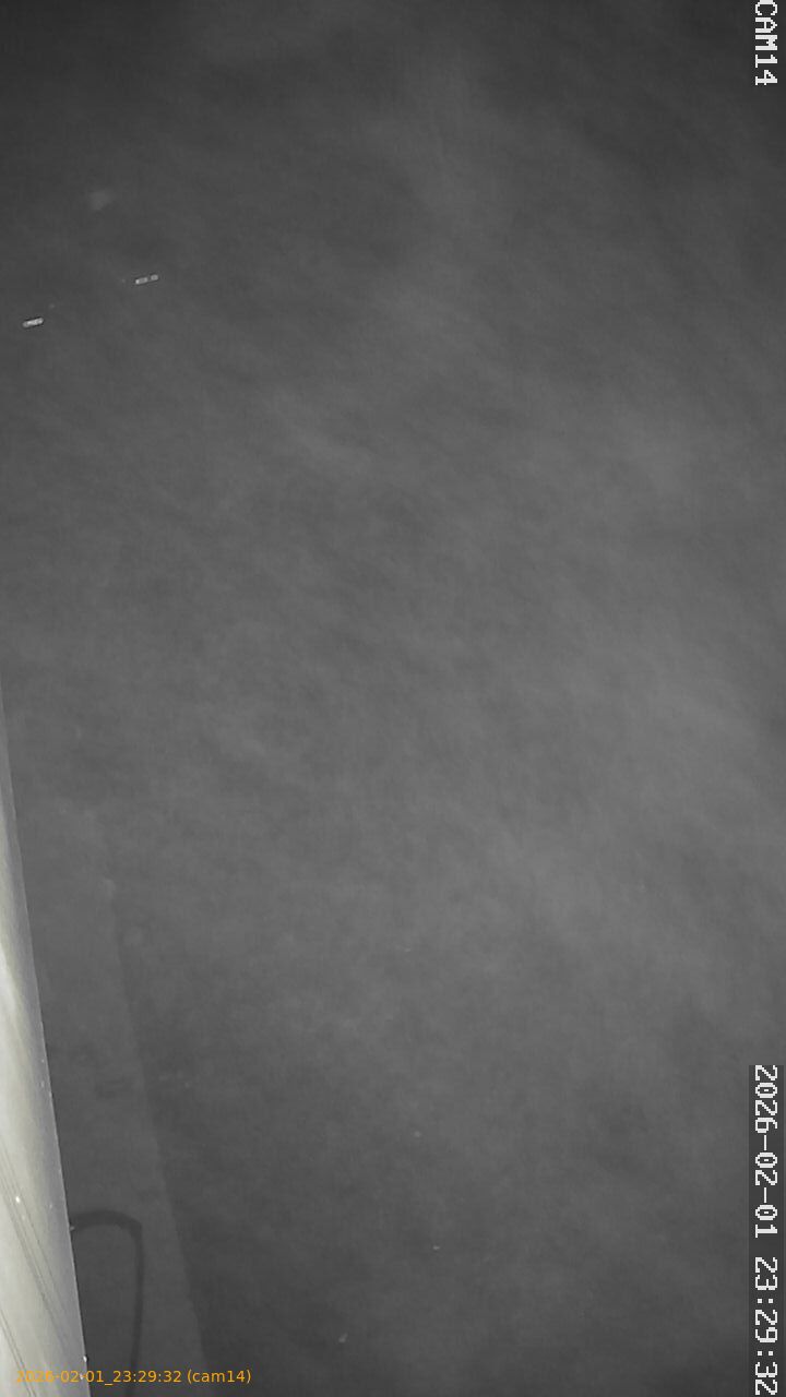 thumbnail_20260201232932