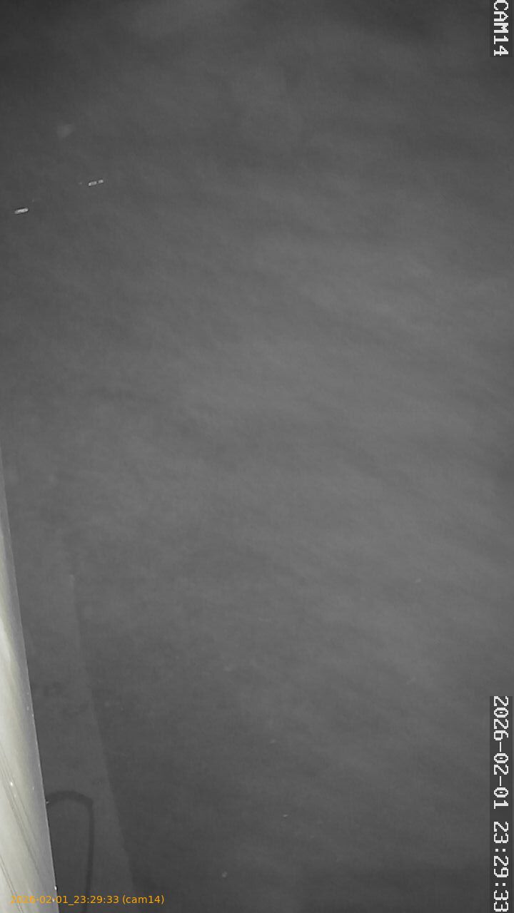 thumbnail_20260201232933