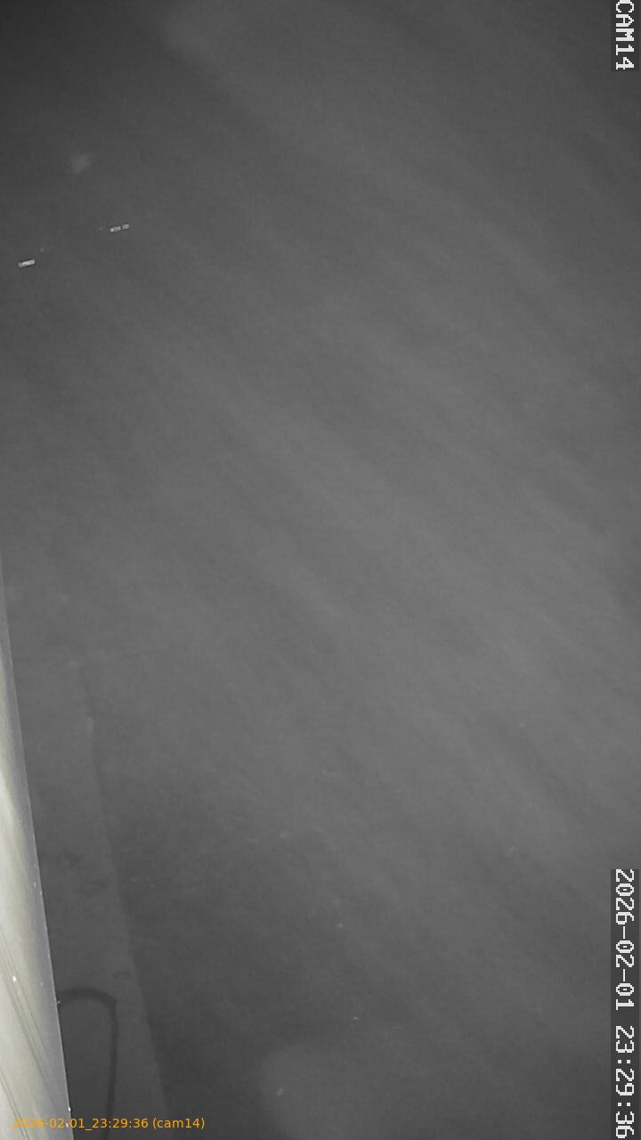 thumbnail_20260201232936