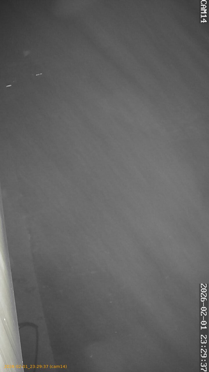 thumbnail_20260201232937