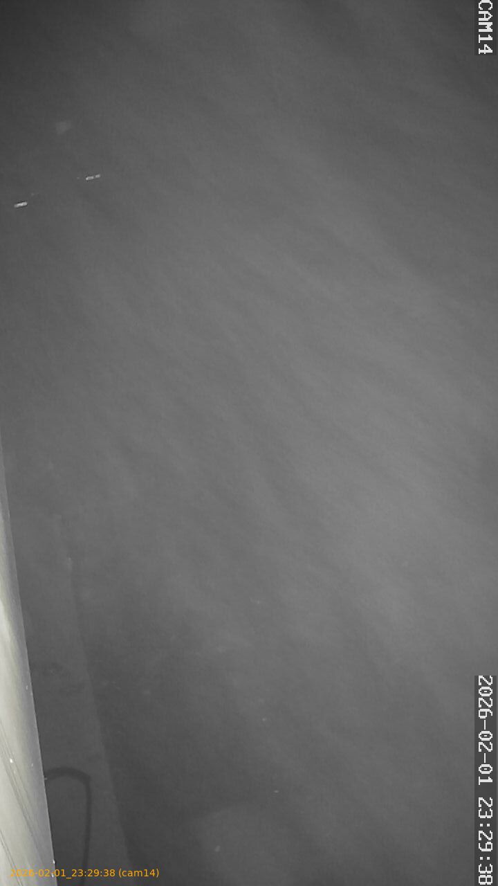 thumbnail_20260201232938