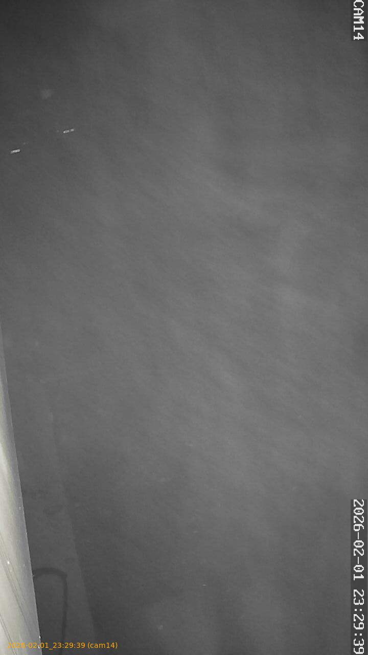 thumbnail_20260201232939