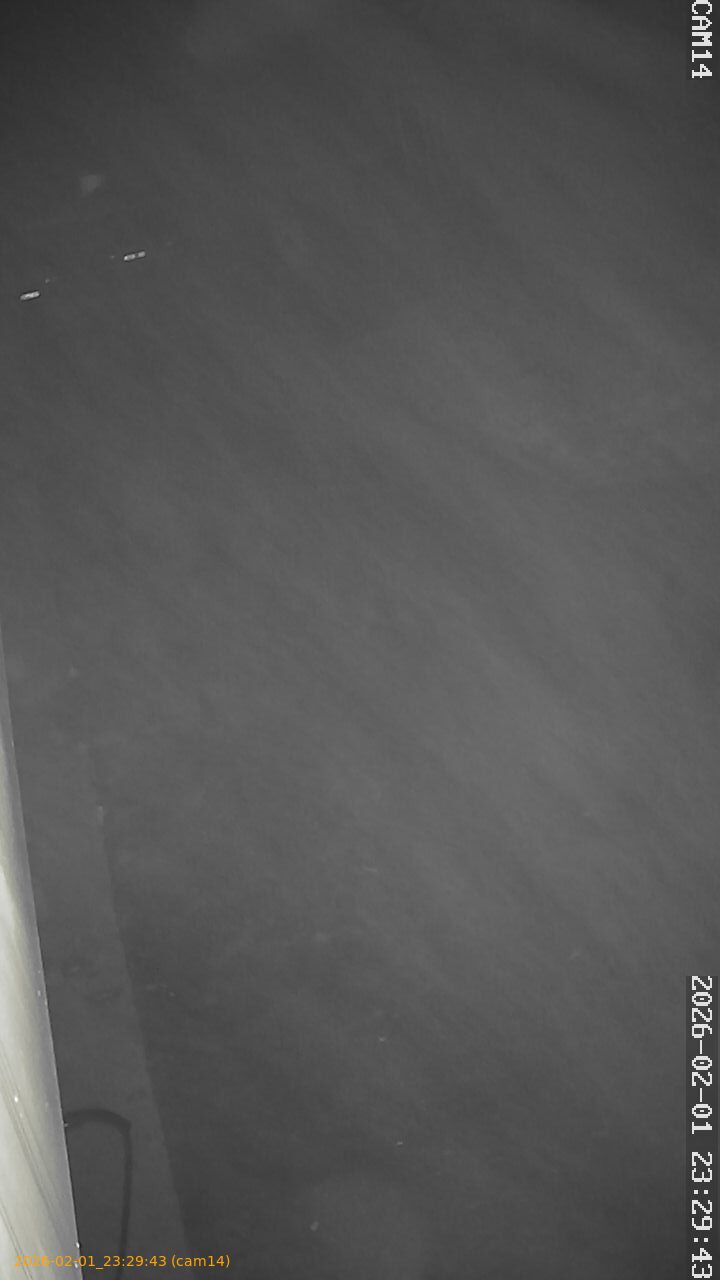 thumbnail_20260201232943