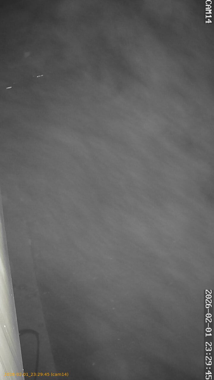 thumbnail_20260201232945