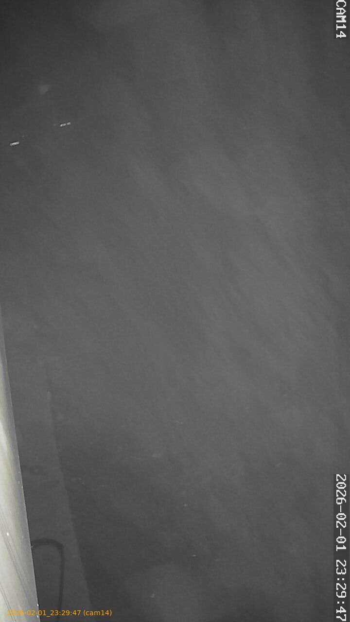 thumbnail_20260201232947