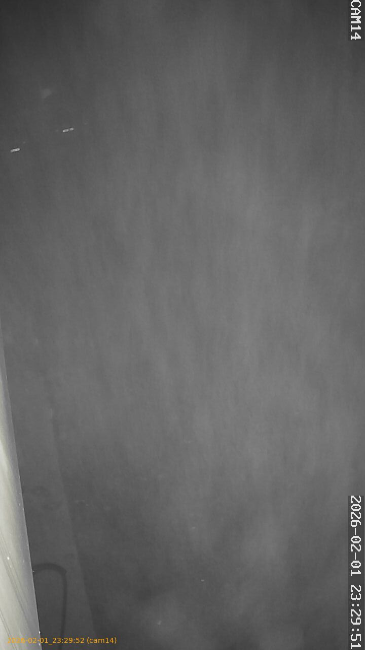 thumbnail_20260201232951