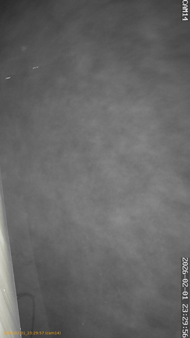 thumbnail_20260201232956