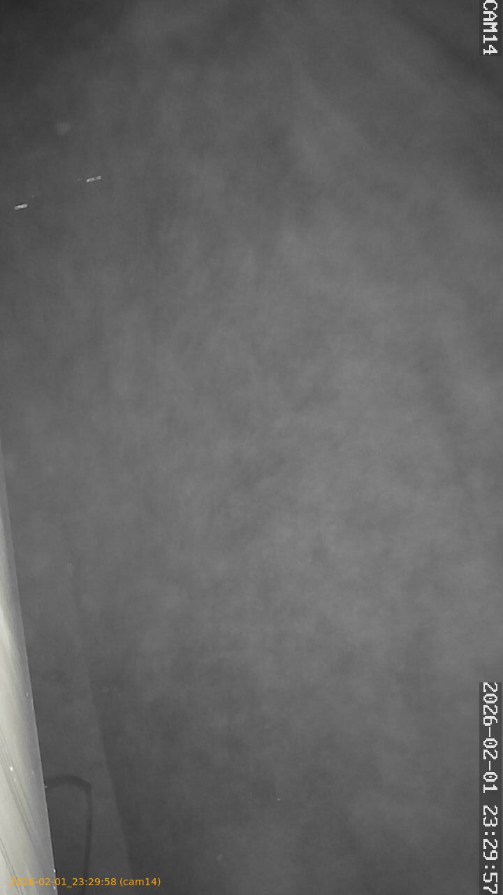 thumbnail_20260201232957