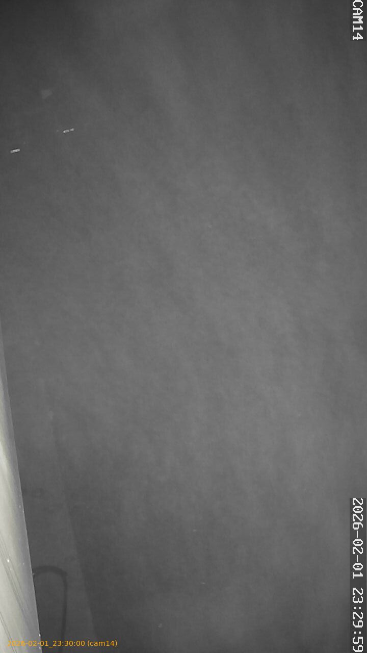 thumbnail_20260201233000