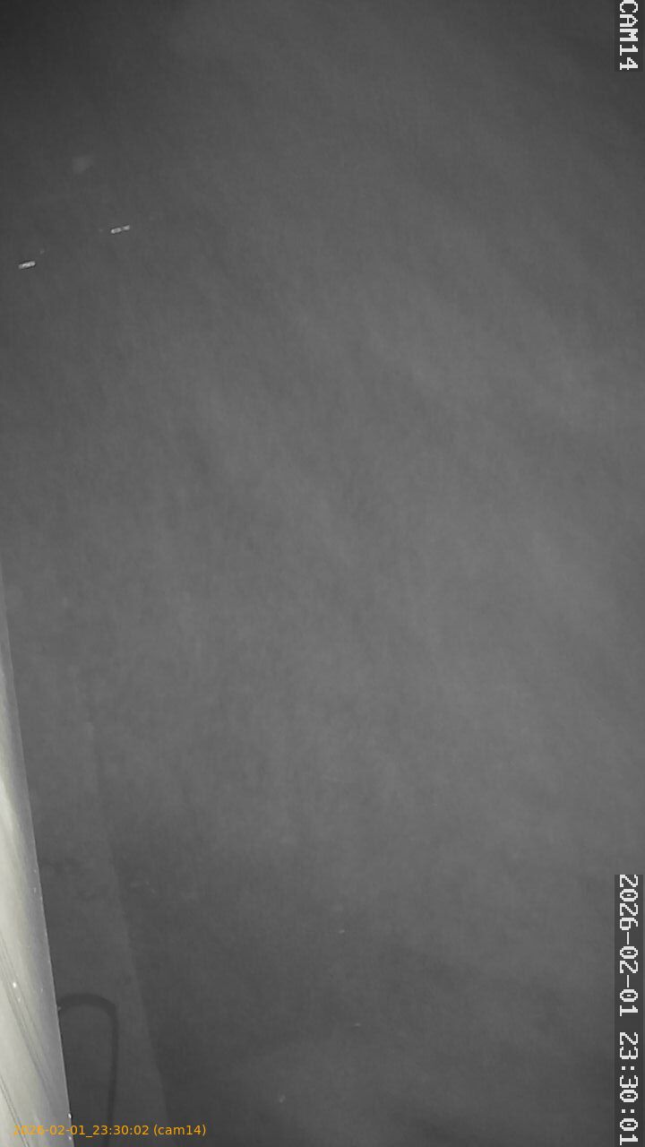 thumbnail_20260201233002