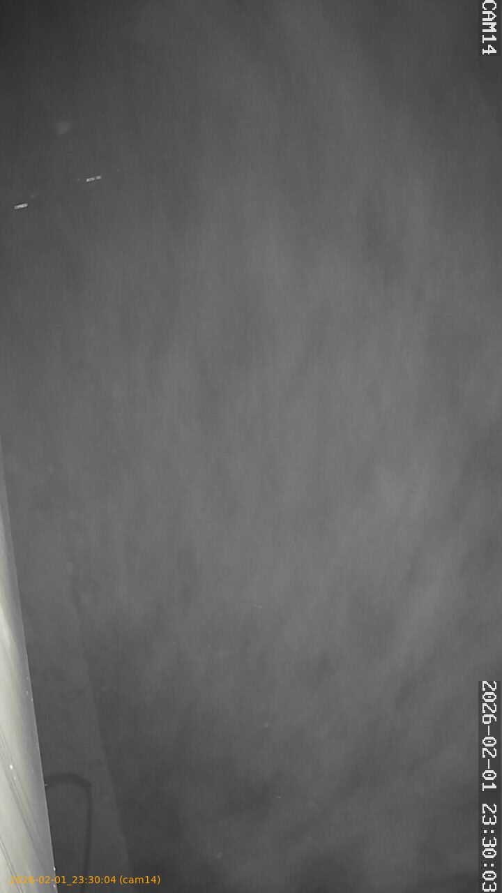 thumbnail_20260201233004