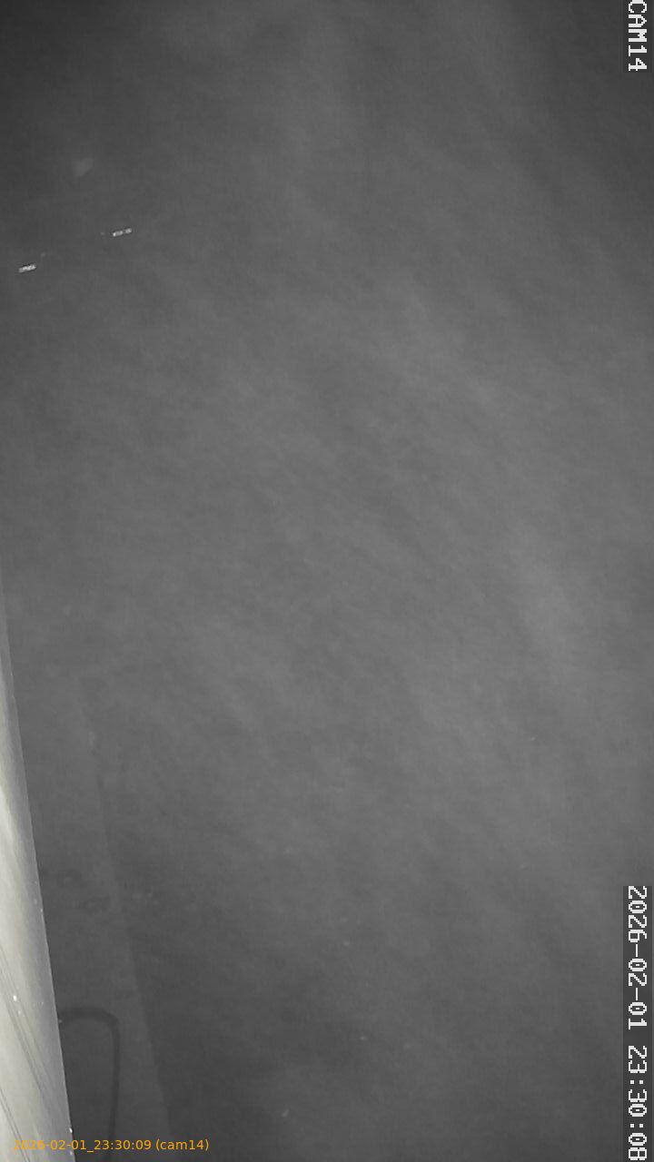 thumbnail_20260201233009