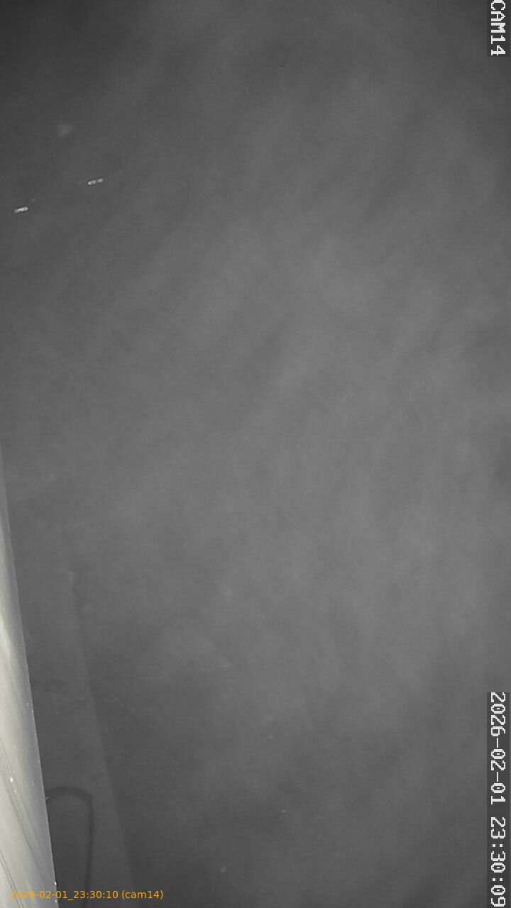 thumbnail_20260201233010