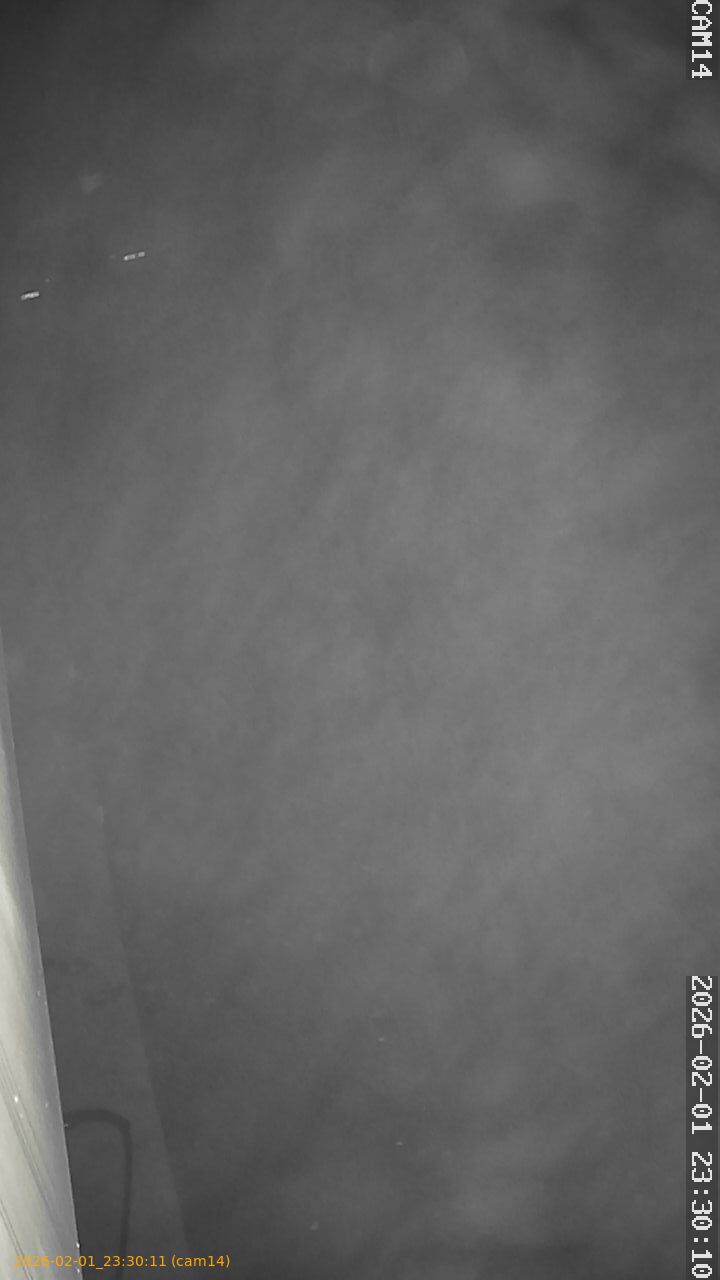 thumbnail_20260201233011