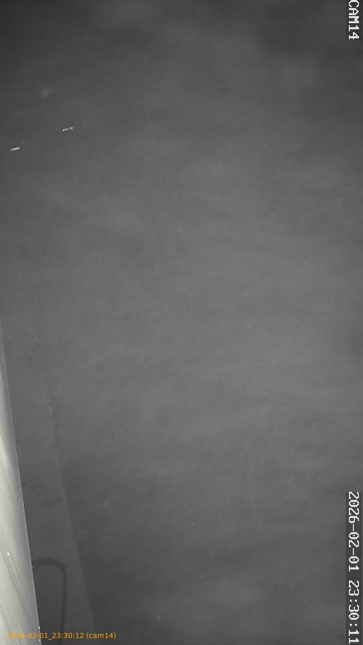 thumbnail_20260201233012