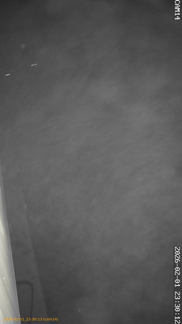 thumbnail_20260201233013