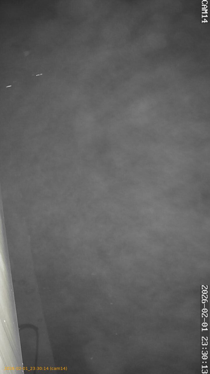 thumbnail_20260201233014