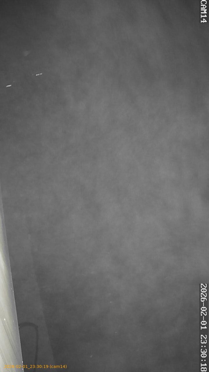 thumbnail_20260201233019