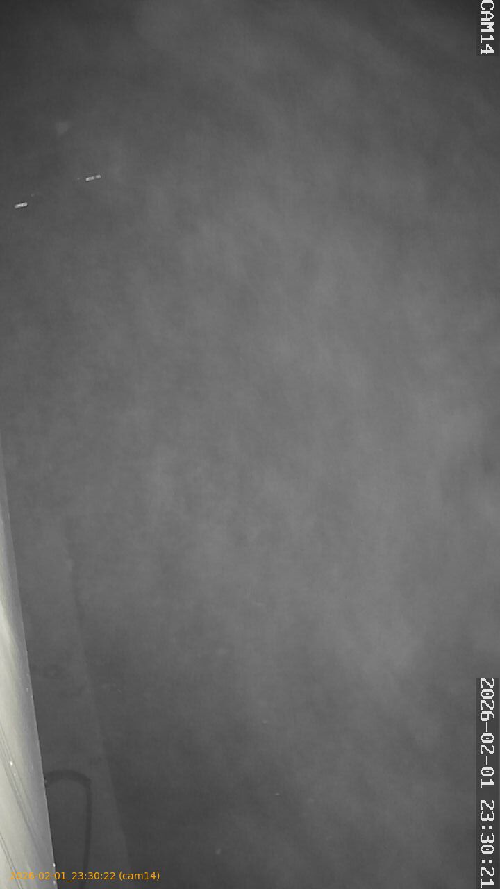 thumbnail_20260201233022