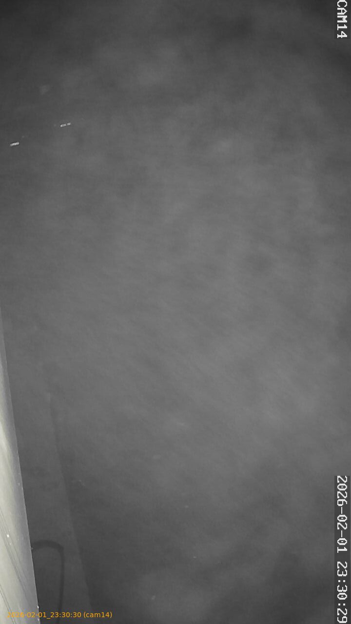 thumbnail_20260201233030