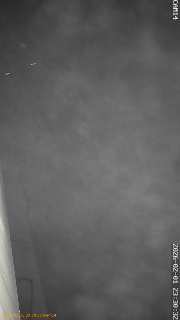 thumbnail_20260201233033