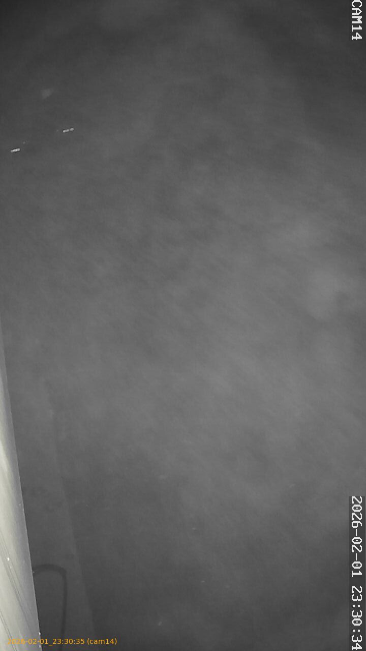 thumbnail_20260201233035