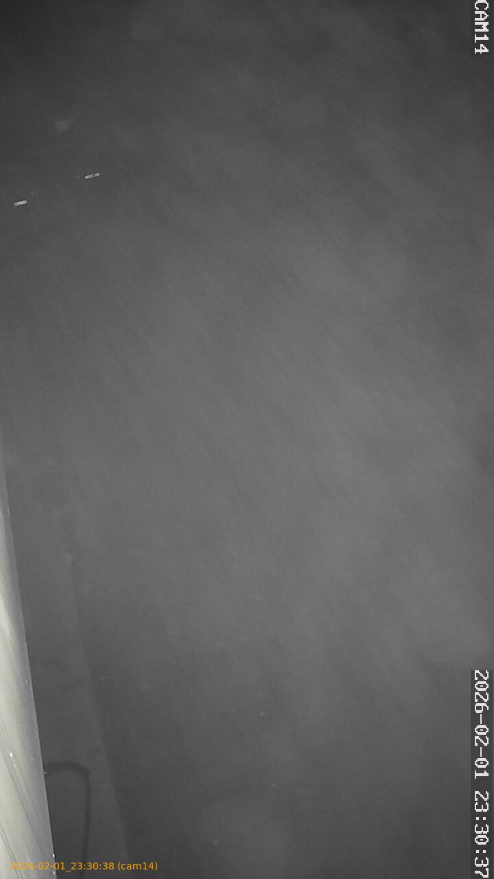 thumbnail_20260201233038