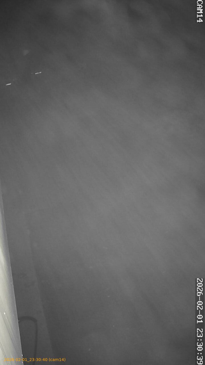 thumbnail_20260201233040