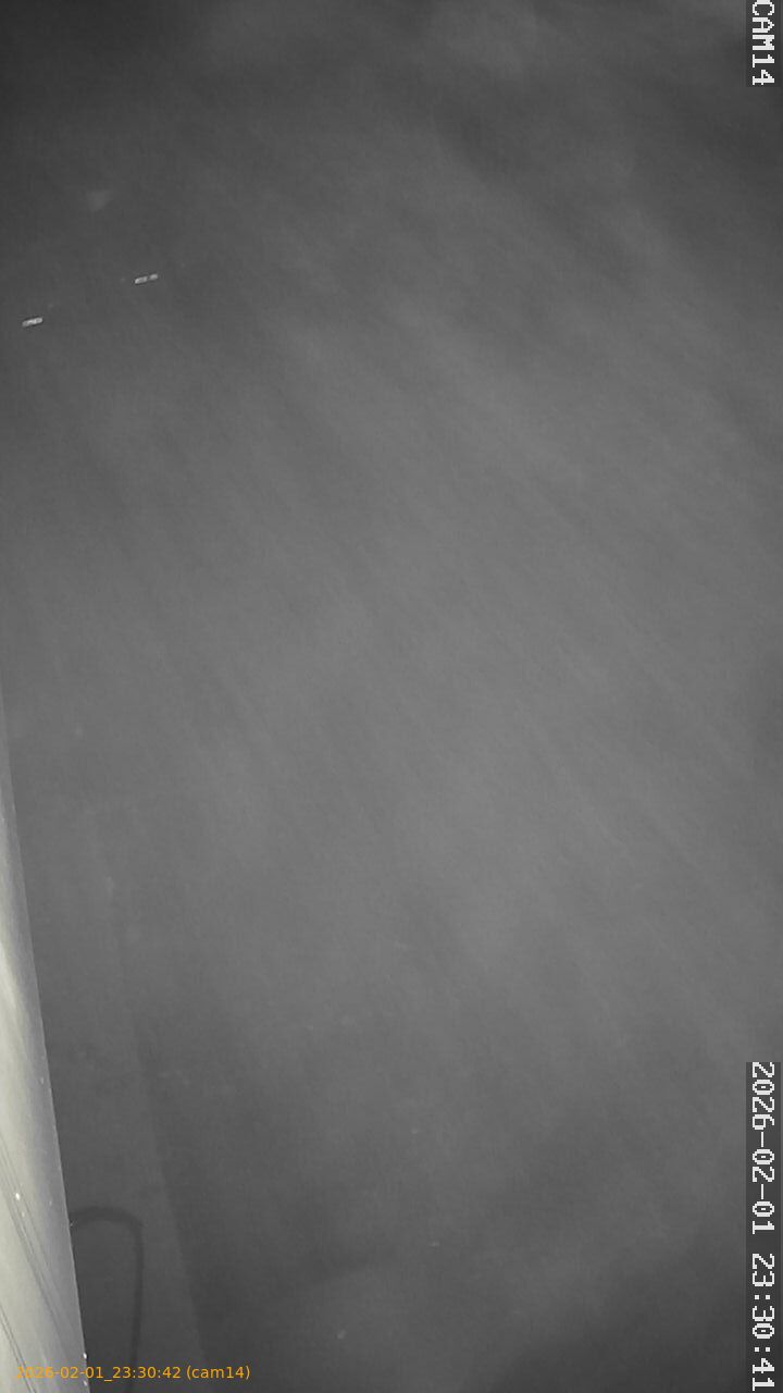 thumbnail_20260201233042