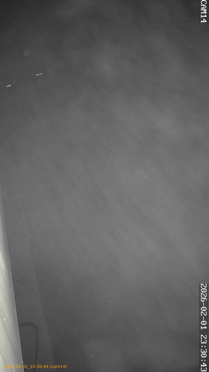 thumbnail_20260201233044