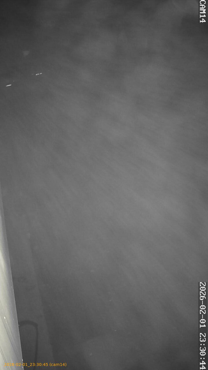 thumbnail_20260201233045