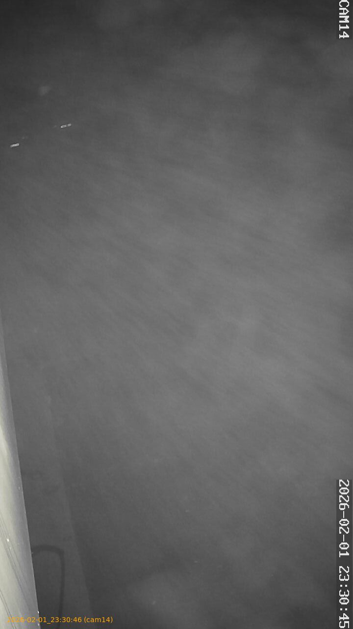 thumbnail_20260201233046